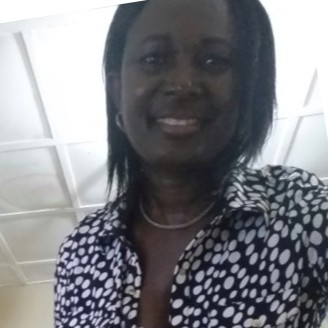 Dr. Bridget U. Famogun and Bridge Stone Mental Wellness & Therapy, LLC